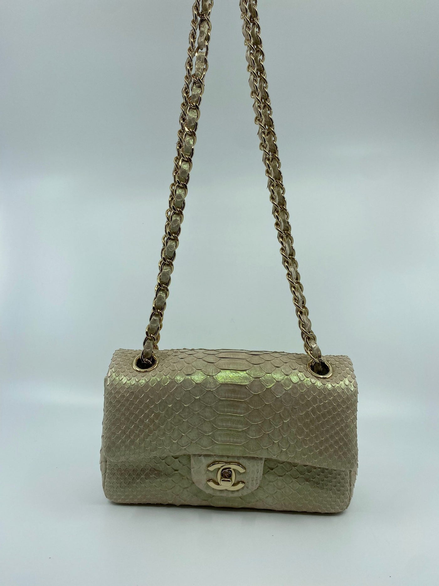 Chanel Iridescent Python Shoulder Bag