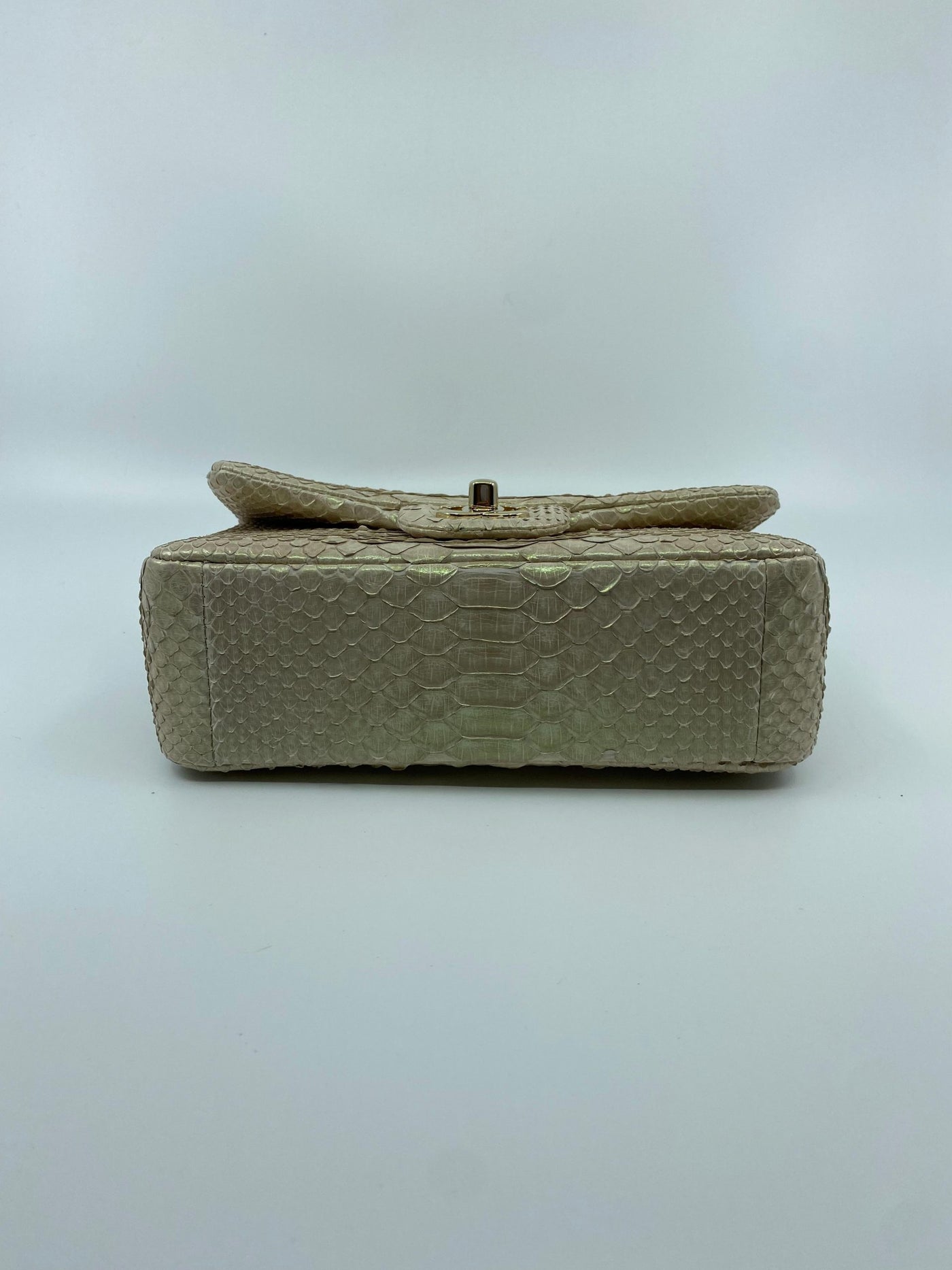 Chanel Iridescent Python Shoulder Bag