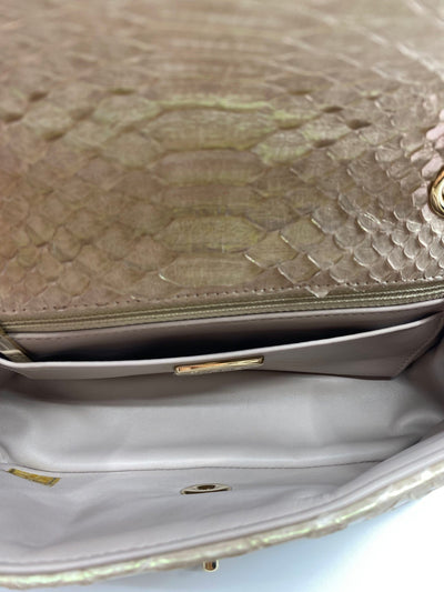 Chanel Iridescent Python Shoulder Bag